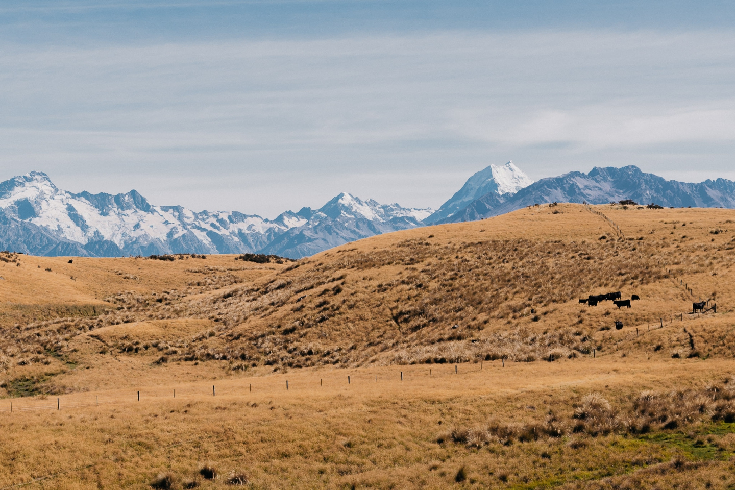 Alps 2 Ocean Radweg – Etappe 6: Von Twizel zum Lake Tekapo