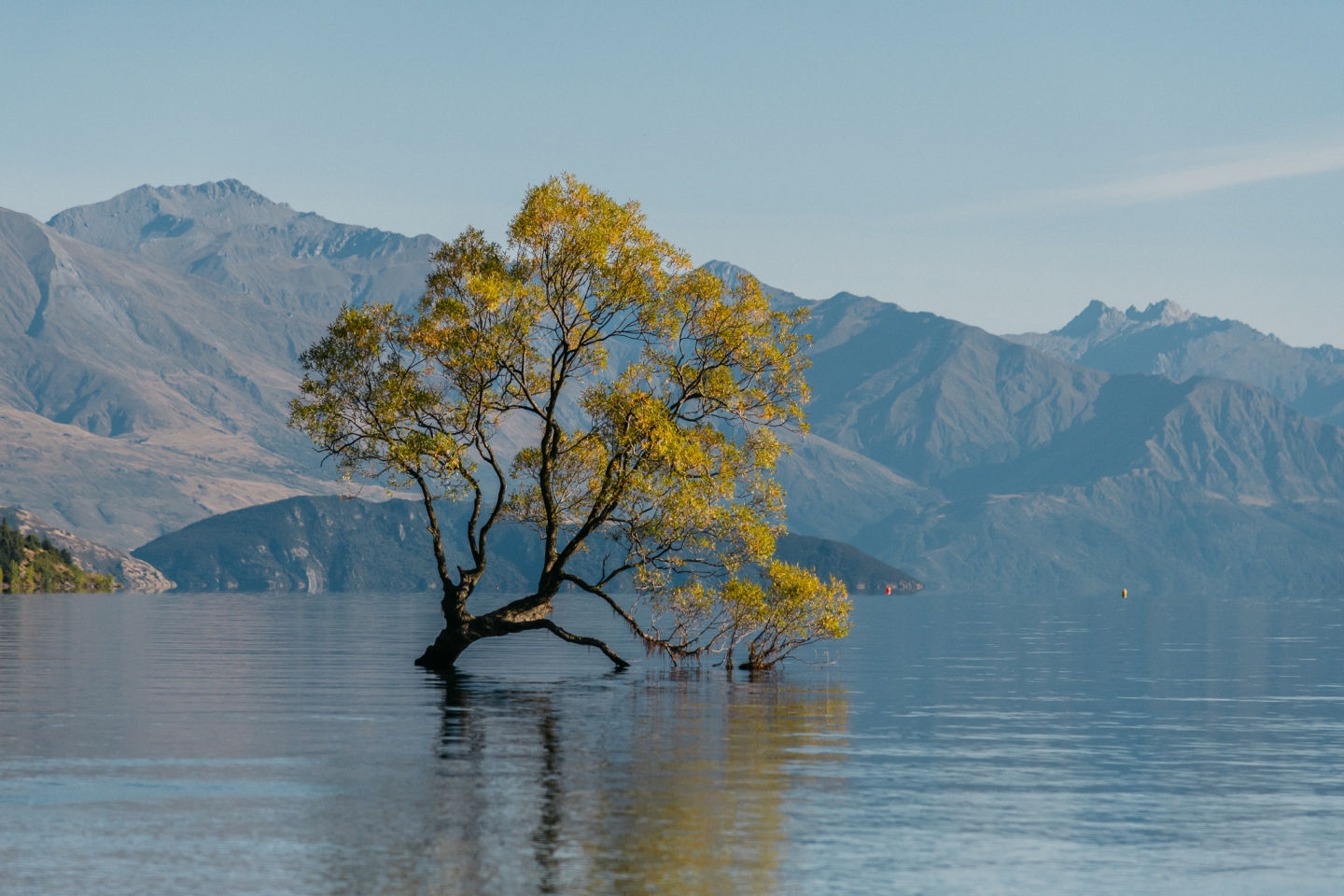 Wanaka - Ein Naturparadies für Familien und Genießer