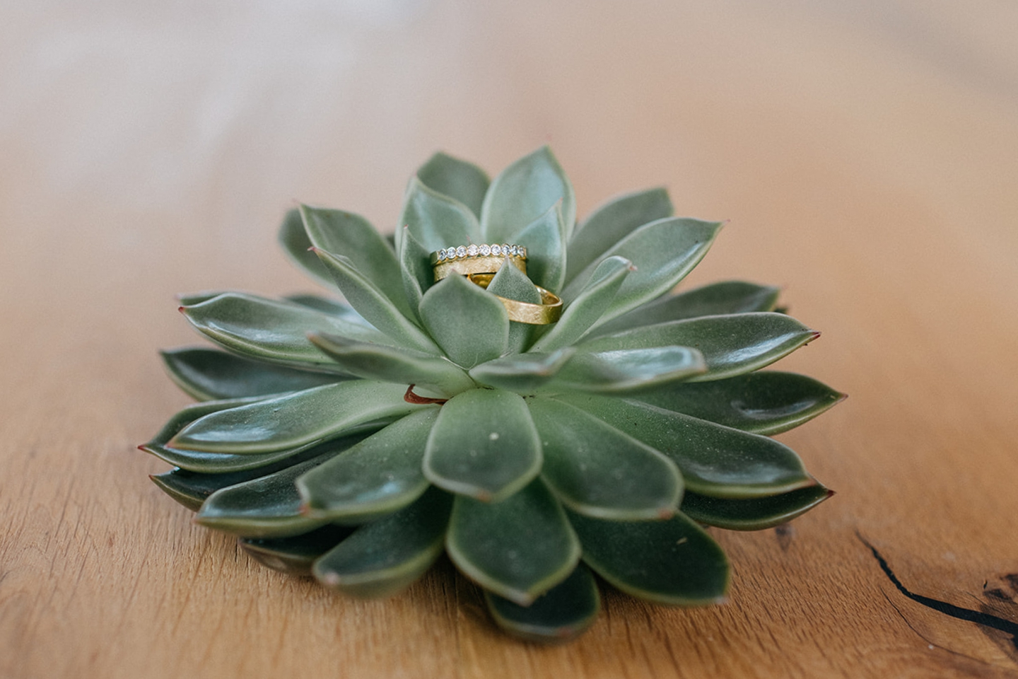 Ringwechsel Hochzeit